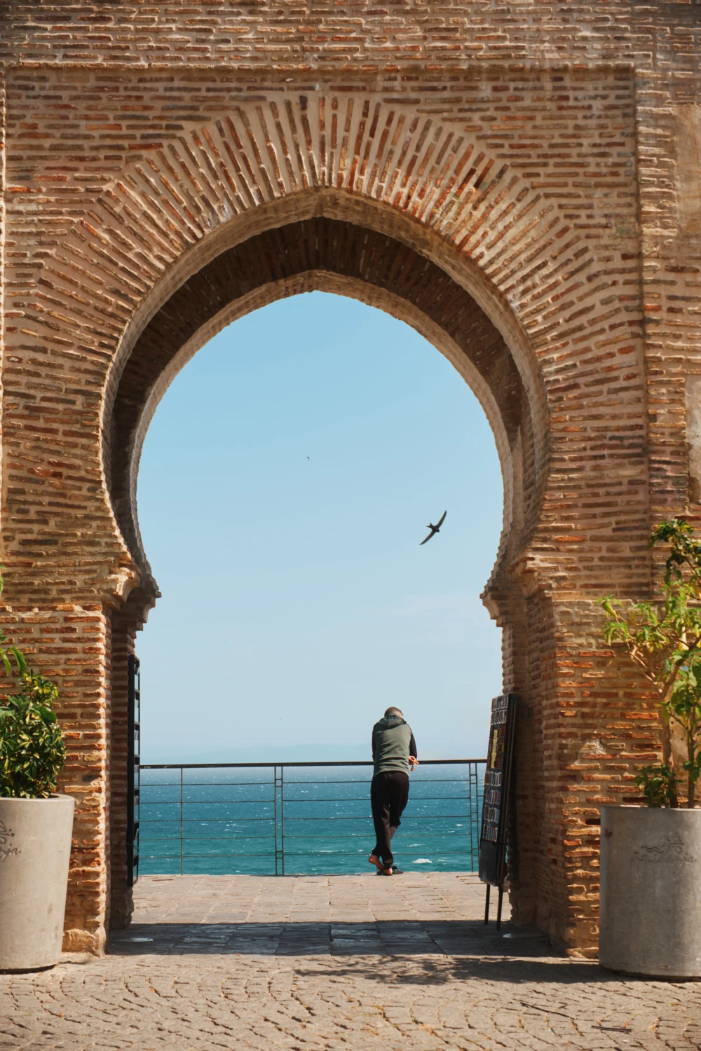Tanger, Morocco 2026 14105